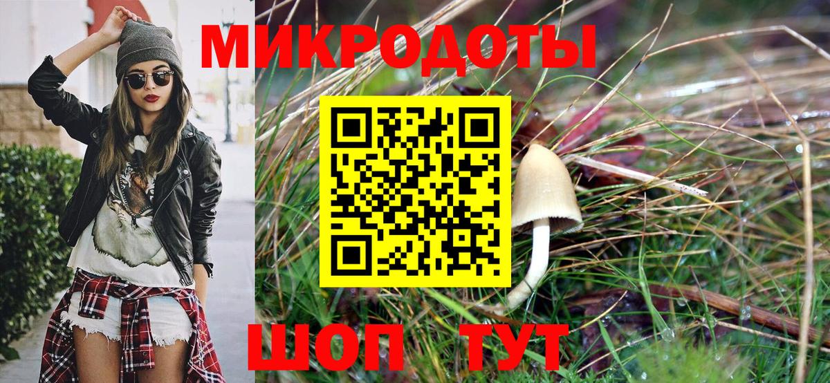 Сызрань  Галлюциногенные грибы MAGIC MUSHROOMS  наркотики  Вход с VPN 