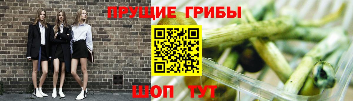 Галлюциногенные грибы MAGIC MUSHROOMS Сызрань